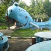 Blue Whale Catoosa, OK