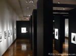 Herb Ritts exhibit at FotoFocus 2012