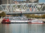 Showboat Majestic