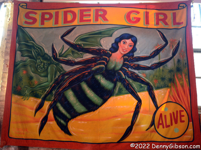 Spider Girl banner